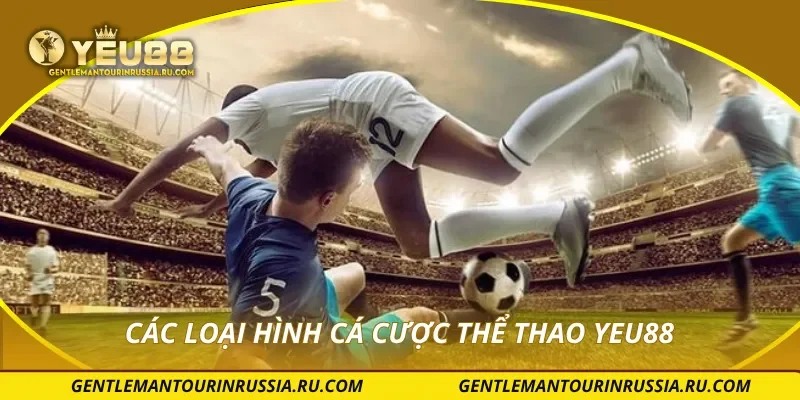 Các loại hình cá cược thể thao YEU88