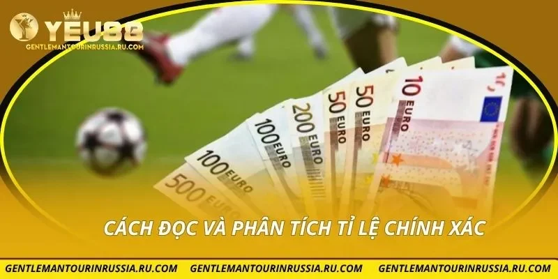 Cách đọc và phân tích tỉ lệ chính xác