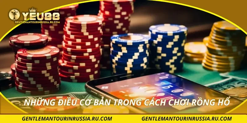 Những điều cơ bản trong cách chơi rồng hổ