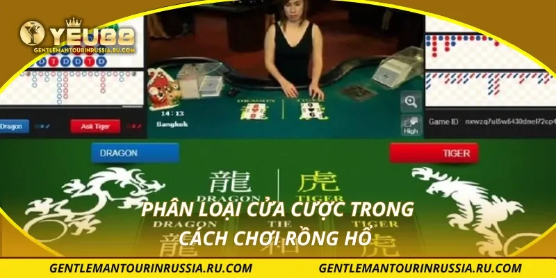 Phân loại cửa cược trong cách chơi rồng hổ